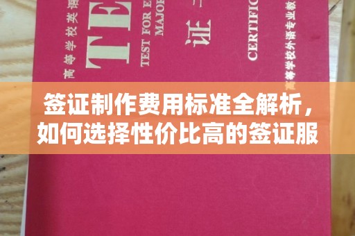 肇庆签证制作费用标准全解析，如何选择性价比高的签证服务？