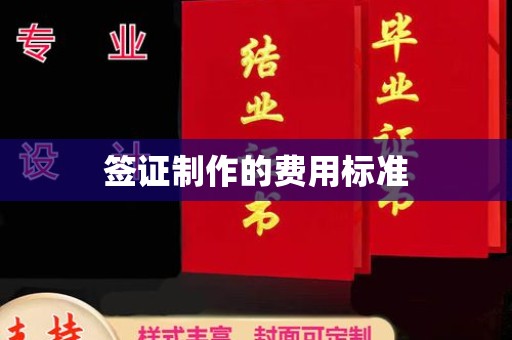 蒸湘签证制作的费用标准