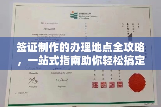 武强签证制作的办理地点全攻略，一站式指南助你轻松搞定签证